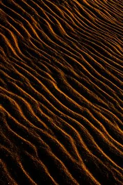 Sand texture outlined by the wind. Wavy shapes of light and shadow. 写真素材