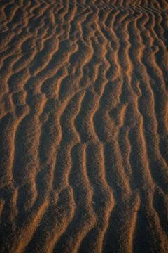 Sand texture outlined by the wind. Wavy shapes of light and shadow. 写真素材