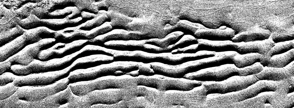 Sand texture overlay. 스톡 일러스트