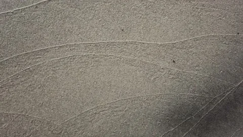 Sand texture, panning shot Stock Footage 136117738