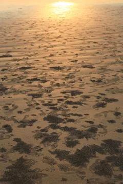 Sand texture Stock Photos