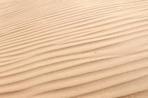 Sand texture Stock Photos