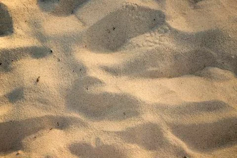Sand texture. Stock Photos