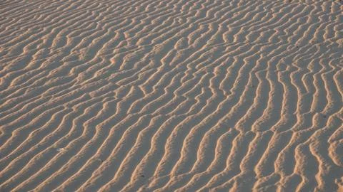 Sand texture Stock Photos