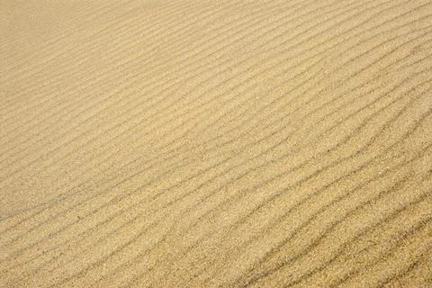 Sand texture with ripples Stock Photos