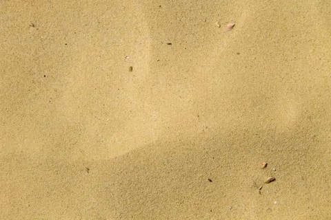 Sand texture. Sandy beach for background Stock Photos