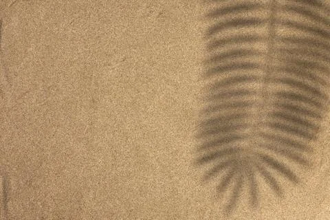Sand texture. Sandy beach for background. Top view Stock Photos
