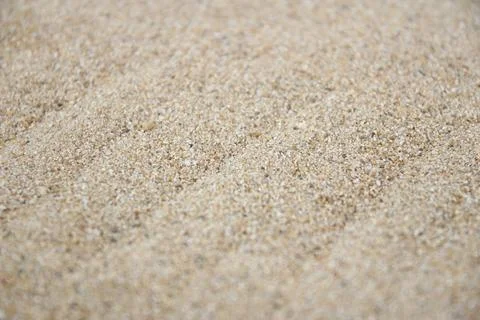 Sand texture. Sandy beach for background Stock Photos
