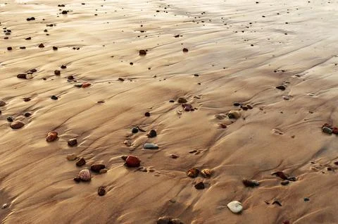 Sand texture. Sandy beach for background. Climate change. Drought. Ocean. S.. Stock Photos