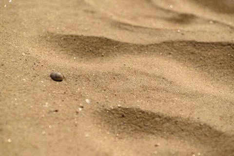 Sand texture, stone, sea shell Foto stock