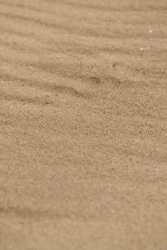 Sand texture, stone, sea shell Stock Photos