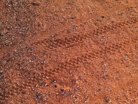 Sand texture with tire trace 写真素材