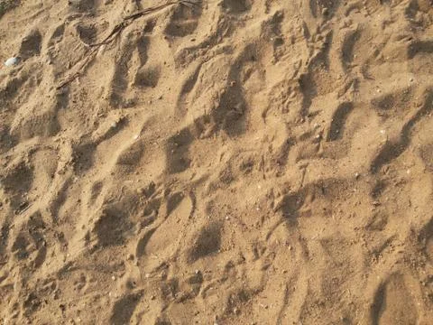 Sand Texture View Stock Photos