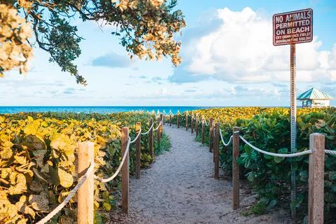 Sand trail to the beach in Florida Stock Photos