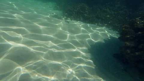 Sand underwater Stock Footage 261117757