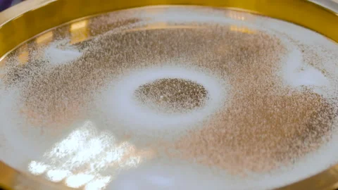 Sand vibration pattern Stock Footage 108658750