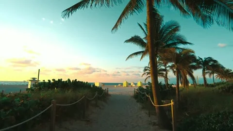 Sand walk on the beach surrounded Stock Footage 159922816