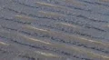 Sand Water Ripples 1 HD Footage