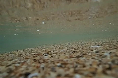 Sand in wave stream Stock Footage 54056989