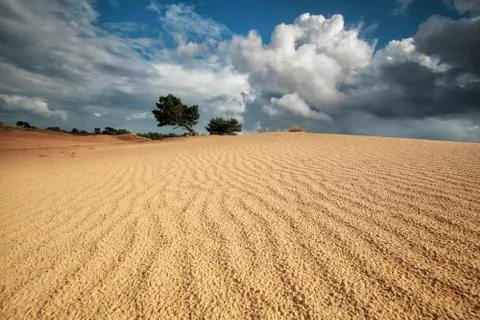 Sand wave texture on dune and beautiful sky Stock Photos