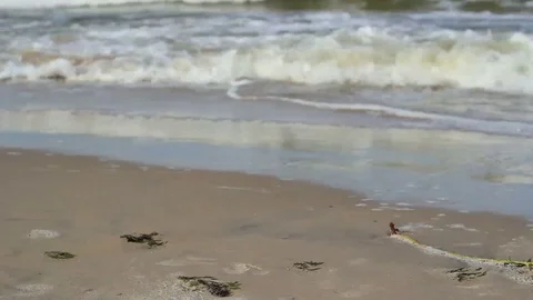 Sand to waves footage with focus Stock Footage 99119324