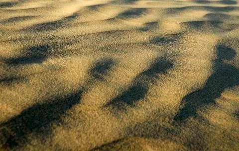 Sand Waves 写真素材