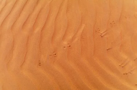 Sand waves on the red dunes in the desert near Dubai at sunrise Stock Photos