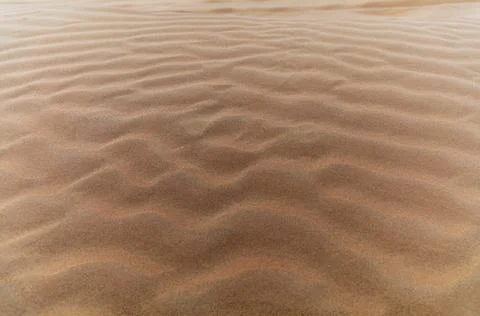Sand waves on the red dunes in the desert near Dubai at sunrise Stock Photos