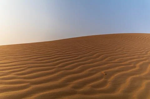 Sand waves on the red dunes in the desert near Dubai at sunrise Stock Photos