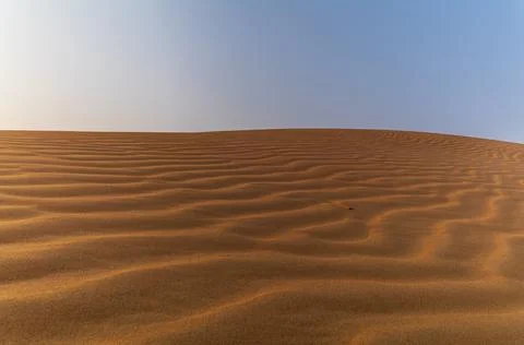 Sand waves on the red dunes in the desert near Dubai at sunrise Stock Photos