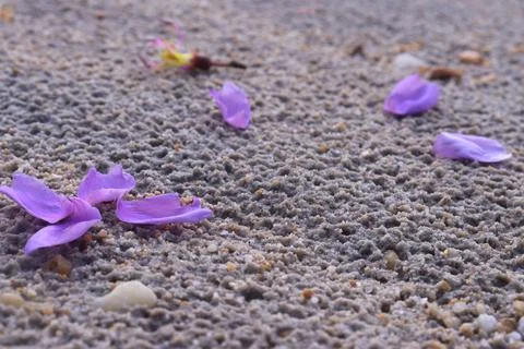 Sand7 Stock Photos