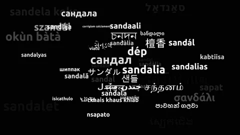 Sandal Translated in 56 Worldwide Languages Endless Looping 3d Zooming Wordcl Video stock 145203794