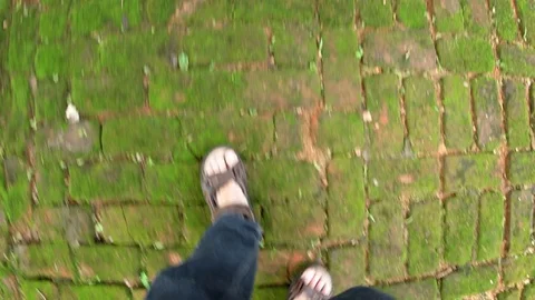 Sandaled feet Walking over Mossy Brick Pavers in Sri Lanka Stock Footage