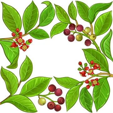Sandalwood vector frame Stock Illustration