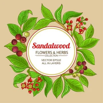 Sandalwood vector frame Stock Illustration