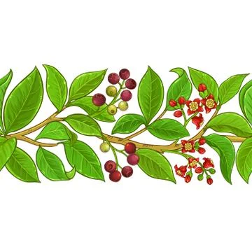 Sandalwood vector pattern Illustrazione stock