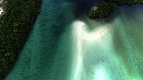 Sandbar and mangroves Stock Footage 148651416