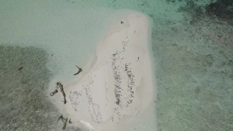 Sandbar Stock Footage 270312966