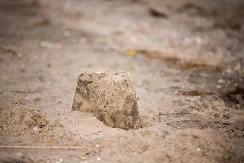 A sandcastle on a sandy beach Stock Photos