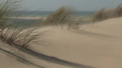 Sanddrift, wind, Dune du Pilat Vídeos de archivo 170946828
