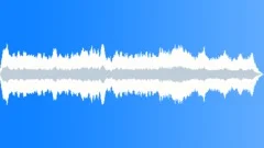 SANDER, ELECTRICSound Effect