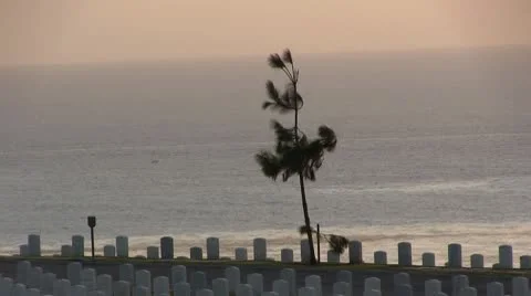 SANDIEGO-072 Stock Footage 10596818