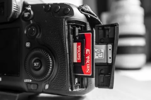 Sandisk memory cards Foto stock