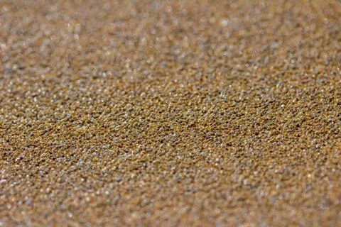 Sandpaper grit texture background Stock Photos