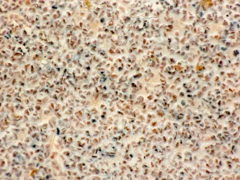 Sandpaper texture Stock Photos