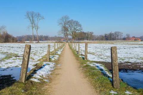 Sandpath between snowy meadows in dutch winter Stock Photos