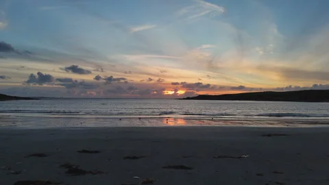 Sandpiper evening Stock Footage 301089441