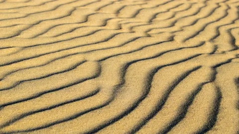 Sands of the sahara desert Stock Footage 154564252