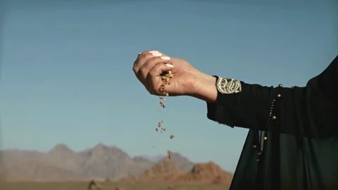 Sands of Time: Embracing the Desert Stock Footage 273953398