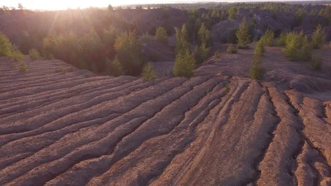 Sands, young forest. flying low over the ground Stock Footage 106652944